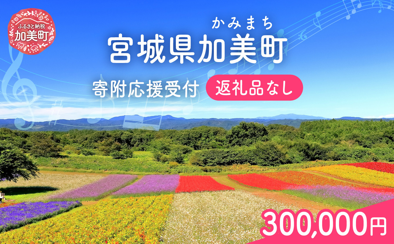 返礼品なし 宮城県 加美町 ふるさと応援寄附金 300,000円 |  寄附 応援 | kznot-300000