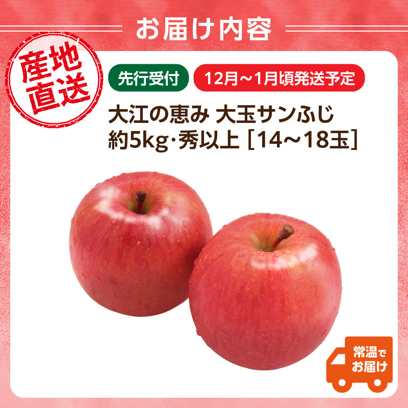 大江の恵み 大玉サンふじ約5kg・秀以上(14～18玉) 【2025年12月中旬発送予定】