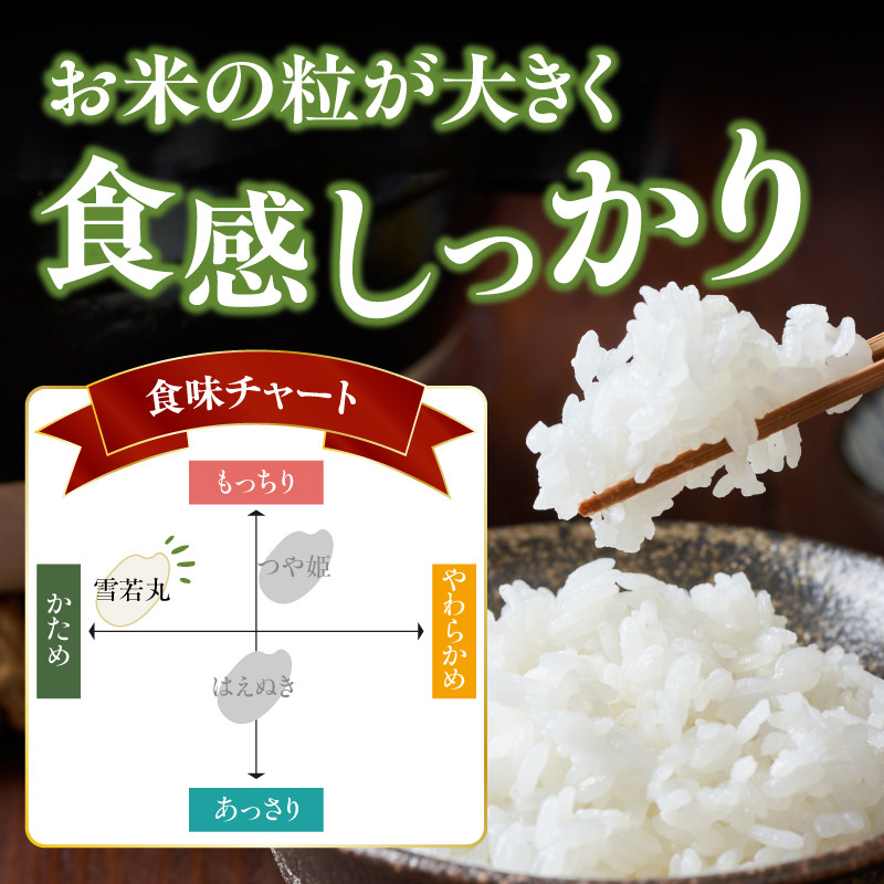 《3ヶ月定期便》特別栽培米 雪若丸 5kg×3ヶ月(計15kg)【山形県産 特別栽培米】
