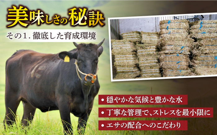 牛肉 肉 佐賀牛 ロース ブロック肉 ステーキ ローストビーフ