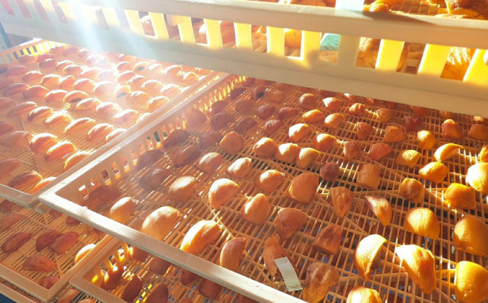 柿 かき カキ 干し柿 ほし柿 西条柿 秋 フルーツ 果物 島根 松江 須山農園 ギフト ドライフルーツ