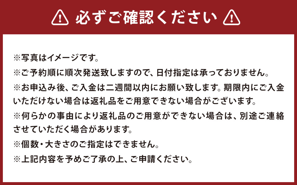 温州みかん 約5kg 2S～2L みかん 果物 くだもの 旬 益城町産