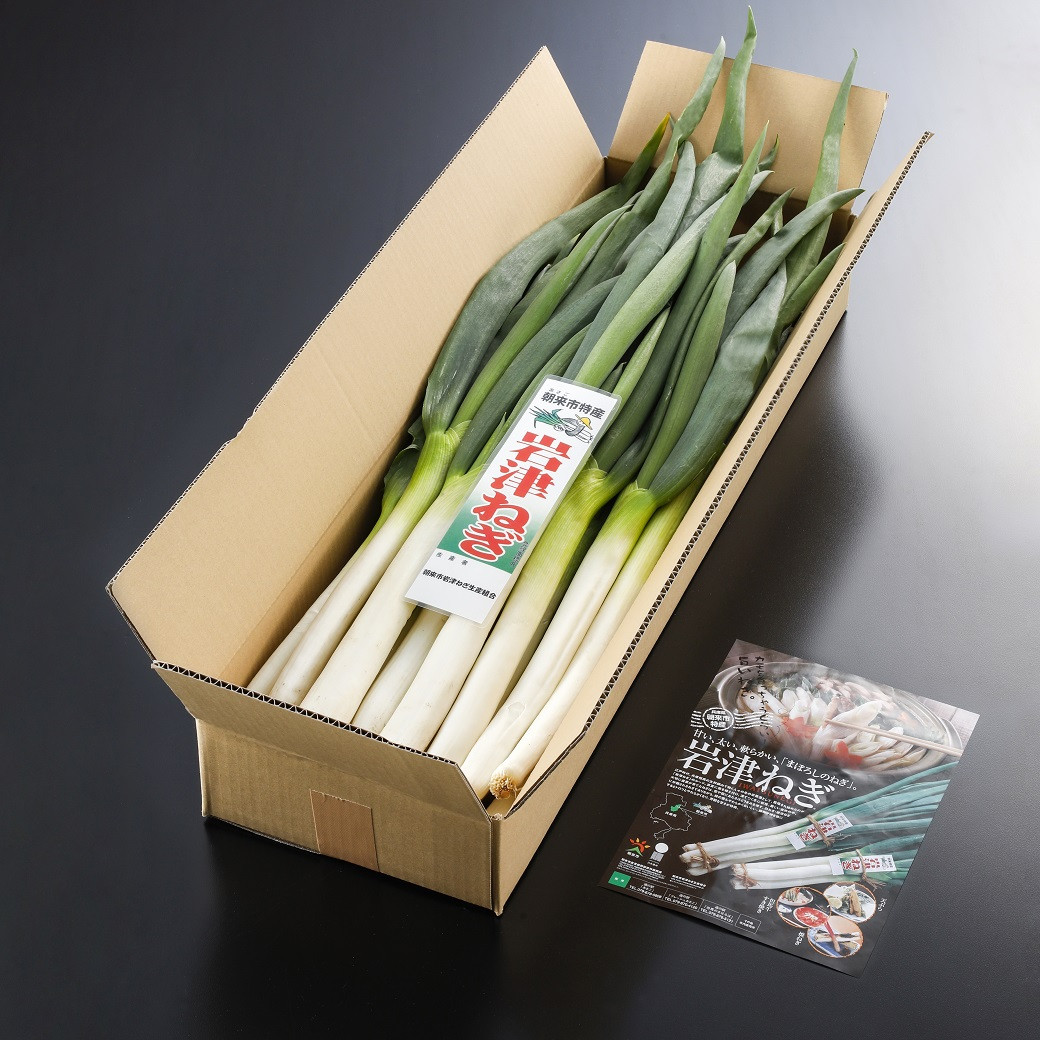 岩津ねぎ2kg（太さにより約10～15本）