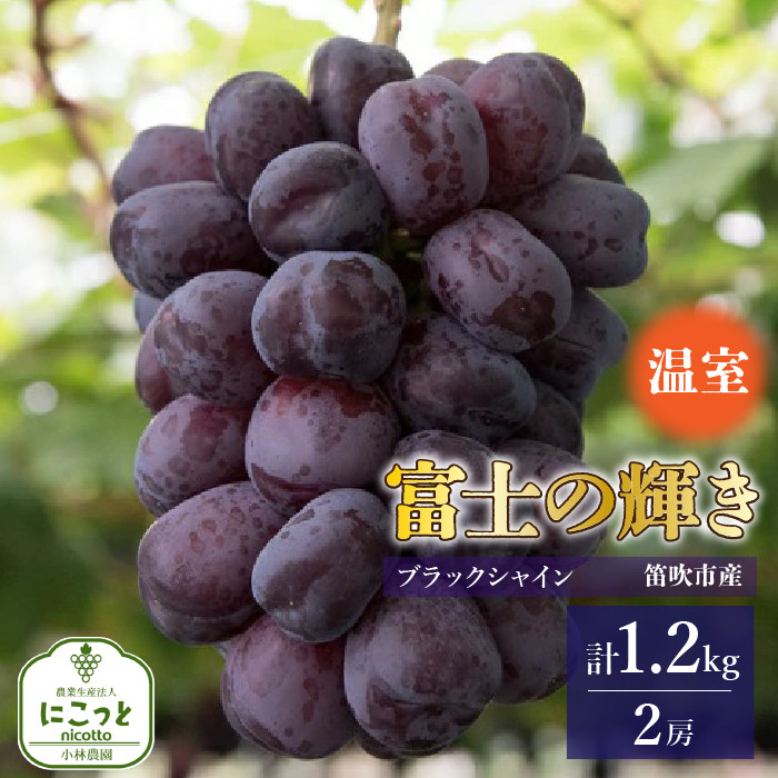 ※天候等によってぶどうの色が写真より赤みかかることがあります。予めご了承ください。