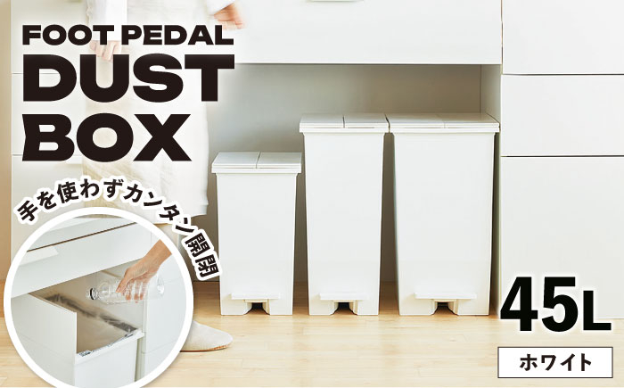 ゴミ箱 ごみ箱 ダストボックス シンプル リビング キッチン インテリア 分別 贈答 ギフト おすすめ 人気 岐阜県 恵那市