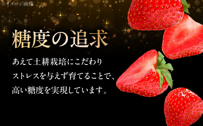 ふるさと納税 いちご 低農薬 イチゴ 水素水 苺 フルーツ ベリー 果物 ギフト