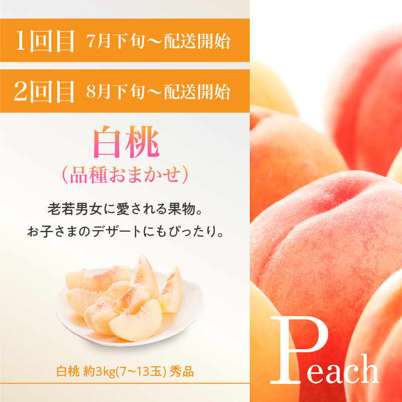 ≪先行受付≫桃とりんご好きのもりもり便【定期便全３回】