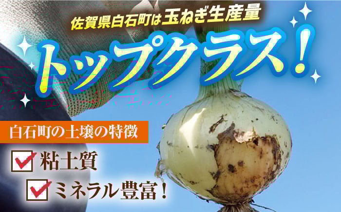玉ねぎの名産地！佐賀県白石町からお届け！