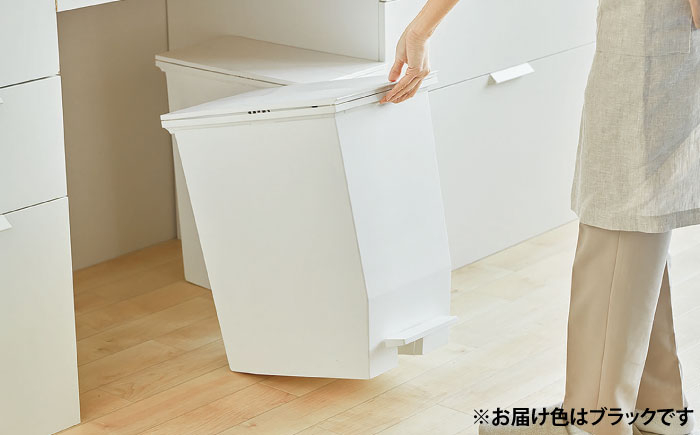 ゴミ箱 ごみ箱 ダストボックス シンプル リビング キッチン インテリア 分別 贈答 ギフト おすすめ 人気 岐阜県 恵那市