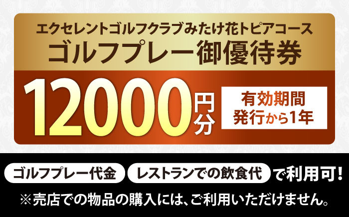 ゴルフ場 体験 利用券 プレー券 ゴルフ プレー割引券 ゴルフ チケット ゴルフ場利用券 GOLF 利用券 プレーチケット