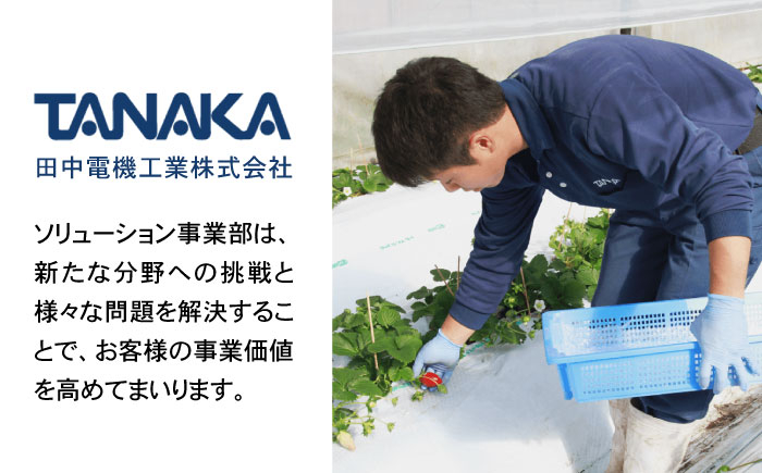 ふるさと納税 いちご 低農薬 イチゴ 水素水 苺 フルーツ ベリー 果物 ギフト