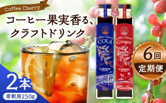 コーラ エナジードリンク 酸味 コーヒー  神奈川県 葉山町 クラフトコーラ 天然 ドリンク 炭酸 定期便