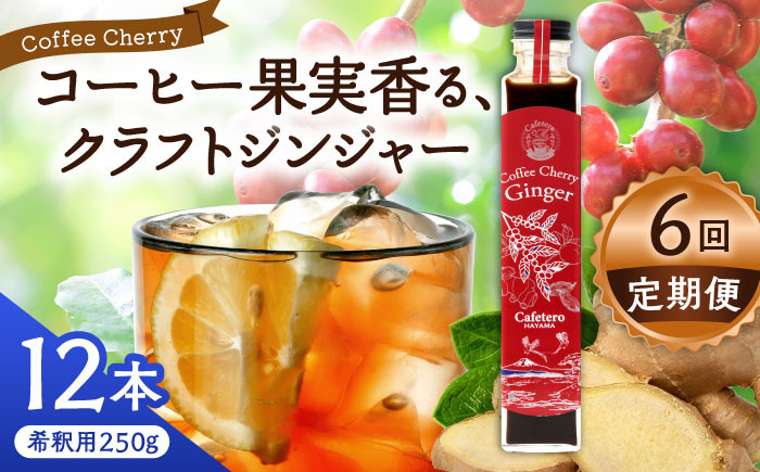 コーラ エナジードリンク 酸味 コーヒー  神奈川県 葉山町 クラフトコーラ 天然 ドリンク 炭酸 定期便