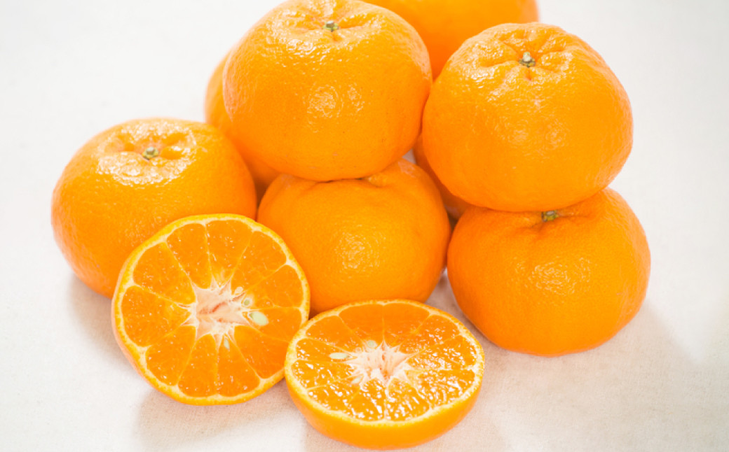 【訳あり】 ぽんかん 5kg【えひめの町（超）推し！（愛南町）】（564）