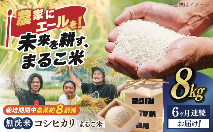 【全6回定期便】コシヒカリ 滋賀県西浅井町産「まるこ米」8kg（2kg×4）　無洗米   米 お米 白米 こしひかり地域 応援