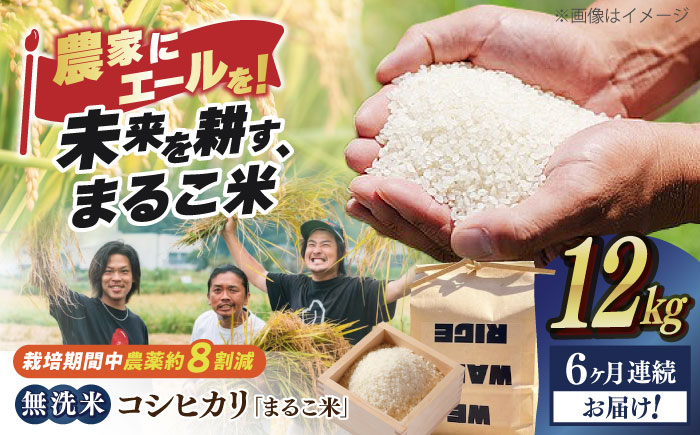 【全6回定期便】コシヒカリ 滋賀県西浅井町産「まるこ米」12kg（3kg×4）　無洗米   米 お米 白米 こしひかり地域 応援