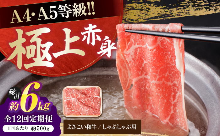 【12回定期便】高知県産 よさこい和牛 上赤身 しゃぶしゃぶ用 約500g 総計約6kg 牛肉 すきやき 国産 肉 A4 A5 