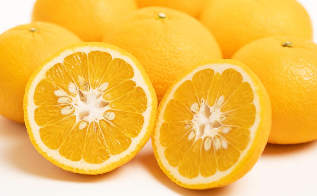 【訳あり】 甘夏 10kg 【えひめの町（超）推し！（愛南町）】（571-1）