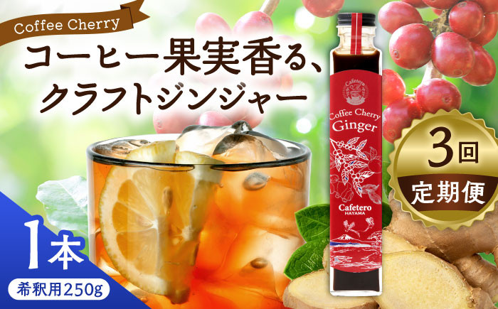コーラ エナジードリンク 酸味 コーヒー  神奈川県 葉山町 クラフトコーラ 天然 ドリンク 炭酸 定期便