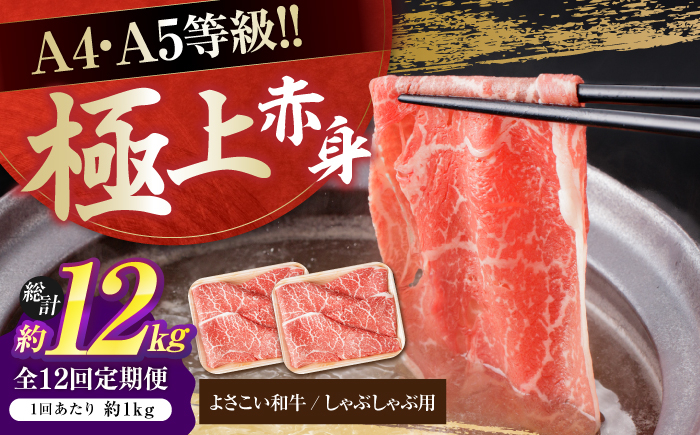 【12回定期便】高知県産 よさこい和牛 上赤身 しゃぶしゃぶ用 約500g×2 総計約12kg 牛肉 すきやき 国産 肉 A4 