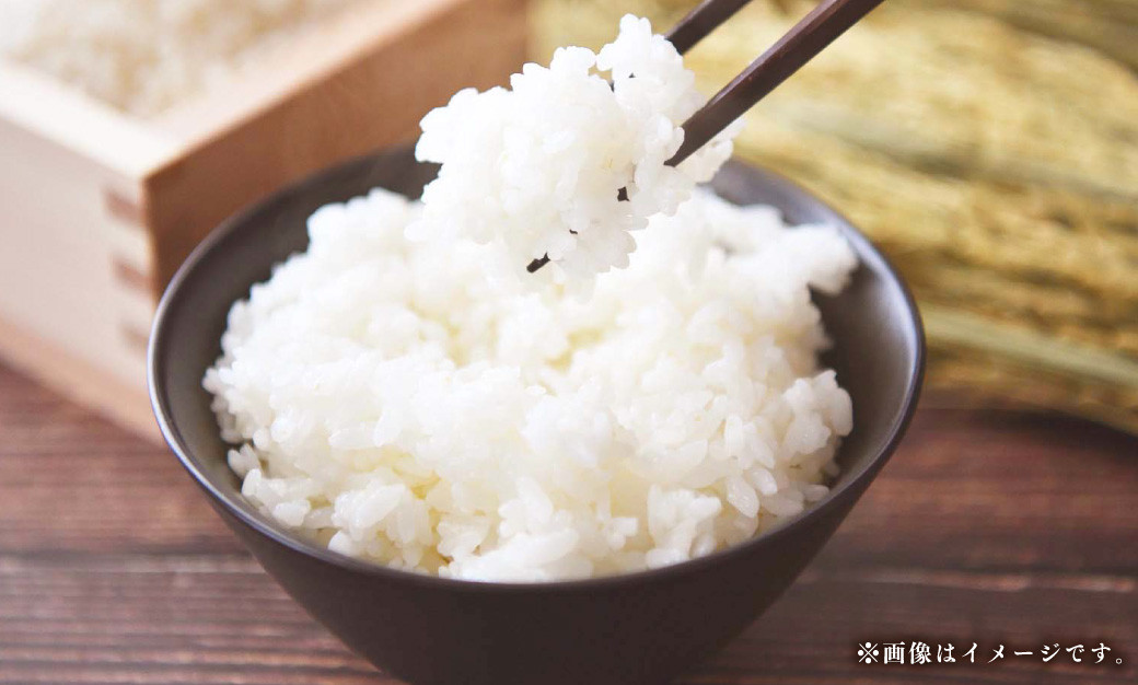福岡県ブランド米「元気つくし」20kg 米 お米 白米 精米 岡垣町