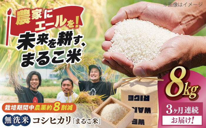 【全3回定期便】コシヒカリ 滋賀県西浅井町産「まるこ米」8kg（2kg×4）　無洗米   米 お米 白米 こしひかり地域 応援