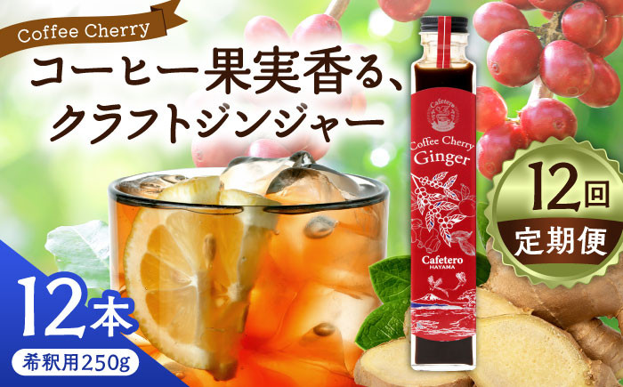 コーラ エナジードリンク 酸味 コーヒー  神奈川県 葉山町 クラフトコーラ 天然 ドリンク 炭酸 定期便