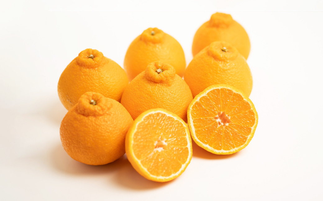 【訳あり】 不知火 2.5kg【えひめの町（超）推し！（愛南町）】（568）