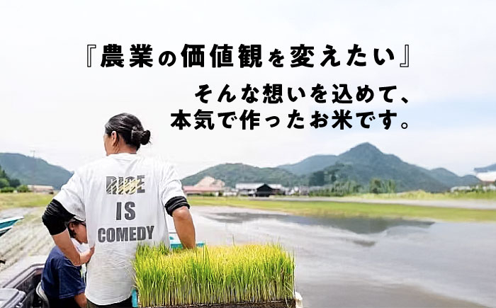 【全3回定期便】コシヒカリ 滋賀県西浅井町産「まるこ米」8kg（2kg×4）　無洗米   米 お米 白米 こしひかり地域 応援