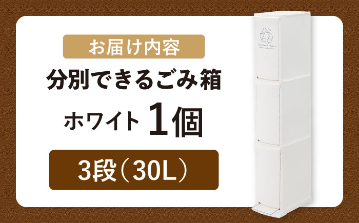 ゴミ箱 ごみ箱 ダストボックス シンプル リビング キッチン インテリア 分別 贈答 ギフト おすすめ 人気 岐阜県 恵那市