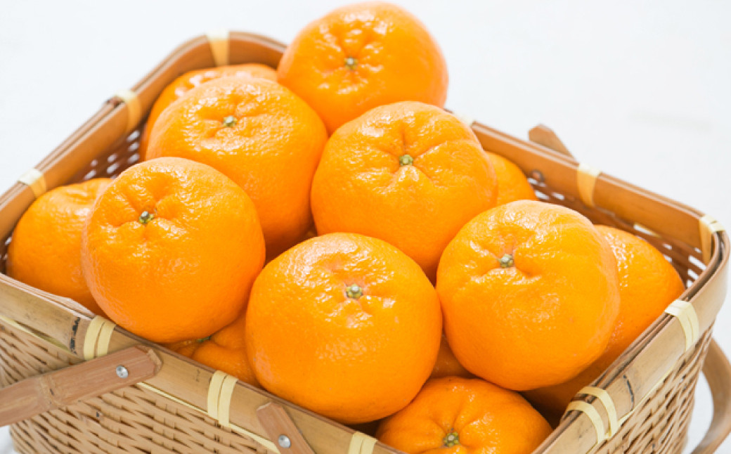 【訳あり】 ぽんかん 5kg【えひめの町（超）推し！（愛南町）】（564）