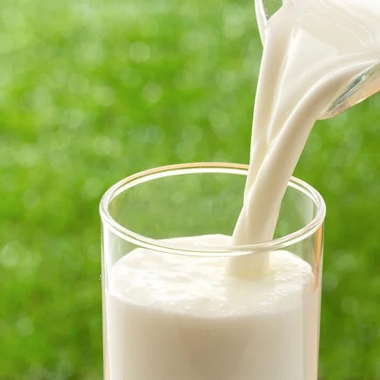 クリームライン牛乳