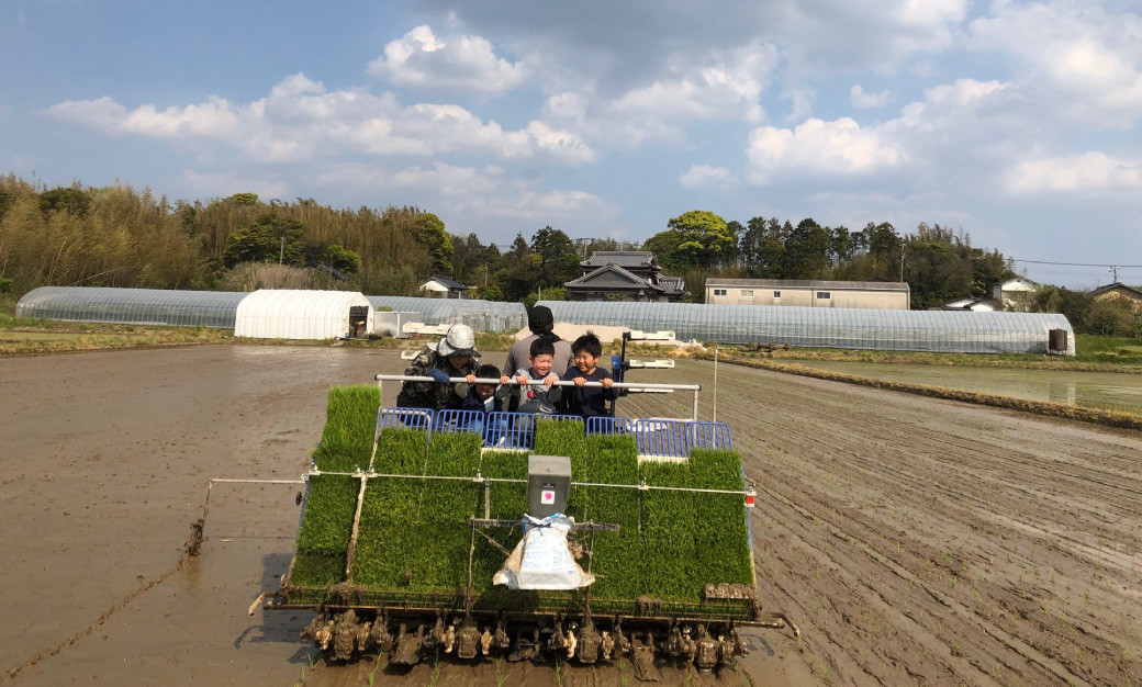 福岡県ブランド米「元気つくし」5kg 米 お米 白米 精米 岡垣町