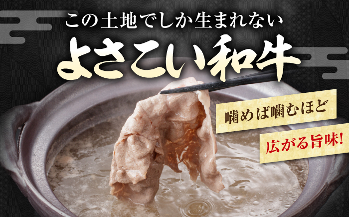 【9回定期便】高知県産 よさこい和牛 上赤身 しゃぶしゃぶ用 約500g×2 総計約9kg 牛肉 すきやき 国産 肉 A4 A5