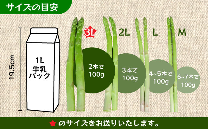 アスパラガス アスパラ モーモーアスパラ 野菜 春 春芽 あすぱらがす あすぱら