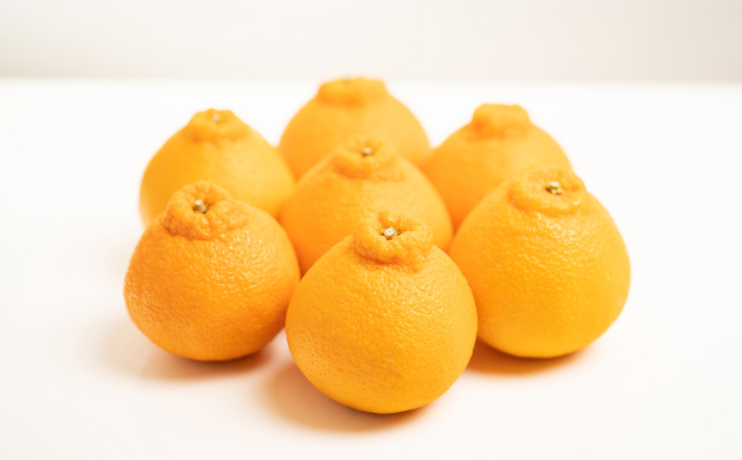 【訳あり】 不知火 5kg 【えひめの町（超）推し！（愛南町）】（567）