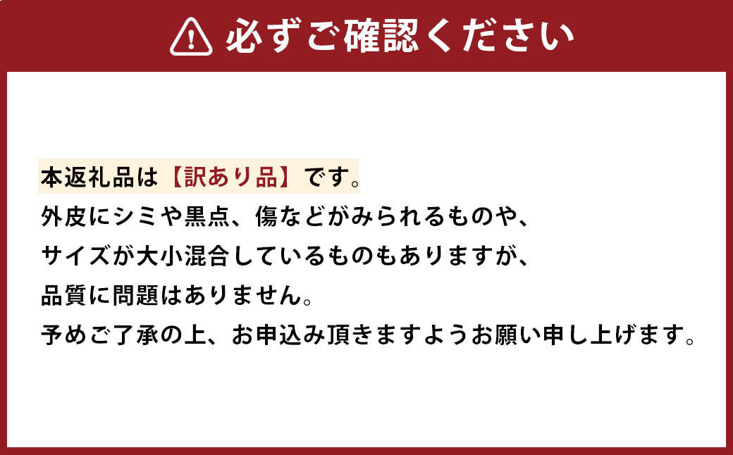 【訳あり】 不知火 2.5kg【えひめの町（超）推し！（愛南町）】（568）