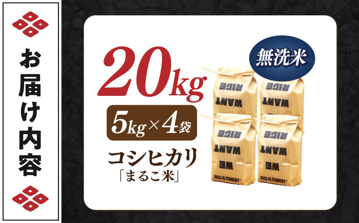 コシヒカリ 滋賀県西浅井町産「まるこ米」20kg（5kg×4）無洗米   米 お米 白米 こしひかり地域 応援