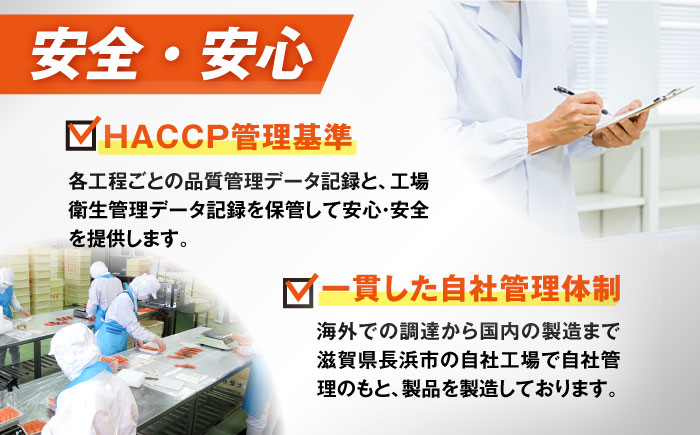 【全12回定期便】スモークサーモン (切り落とし)100g×3パック  サーモン スライス 人気 冷蔵 定期便 サラダ 贈答