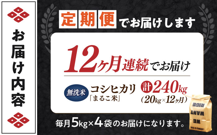 【全12回定期便】コシヒカリ 滋賀県西浅井町産「まるこ米」20kg（5kg×4）無洗米   米 お米 白米 こしひかり地域 応援