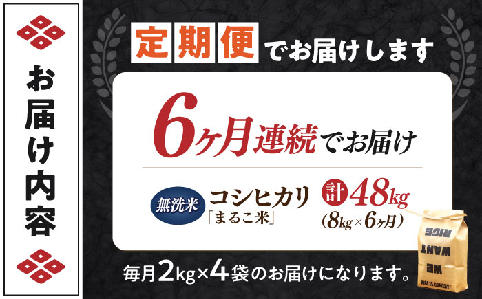 【全6回定期便】コシヒカリ 滋賀県西浅井町産「まるこ米」8kg（2kg×4）　無洗米   米 お米 白米 こしひかり地域 応援