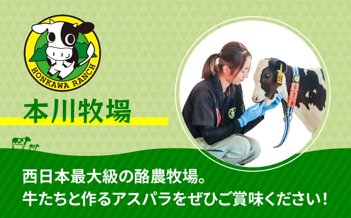 アスパラガス アスパラ モーモーアスパラ 野菜 春 春芽 あすぱらがす あすぱら