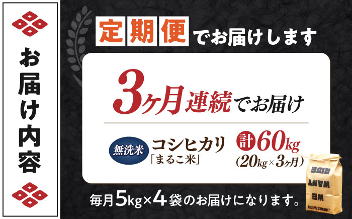 【全3回定期便】コシヒカリ 滋賀県西浅井町産「まるこ米」20kg（5kg×4）無洗米   米 お米 白米 こしひかり地域 応援