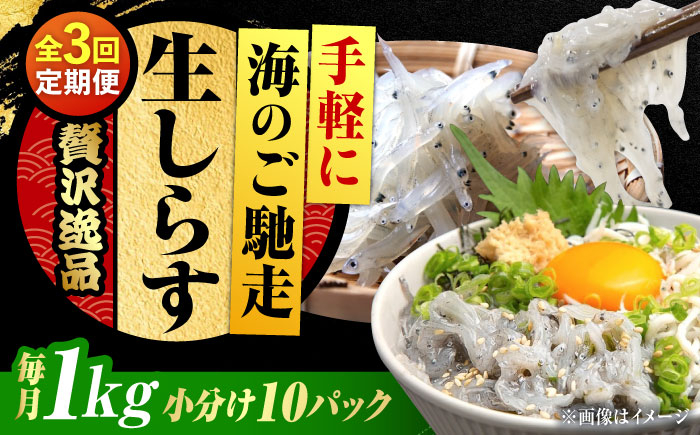 しらす 冷凍 シラス 小分け パック 釜揚げ 冷凍 魚介類 鮮魚 海鮮 海産物