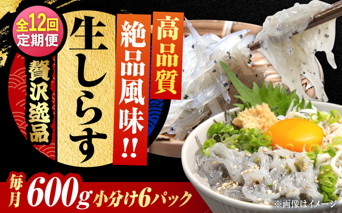 しらす 冷凍 シラス 小分け パック 釜揚げ 冷凍 魚介類 鮮魚 海鮮 海産物