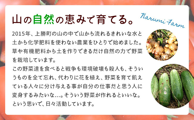 ビニールハウスも潅水設備も、リサイクルのパイプや資材を活用し、上勝町のゼロ・ウェイ ストに沿った農業を行っています。