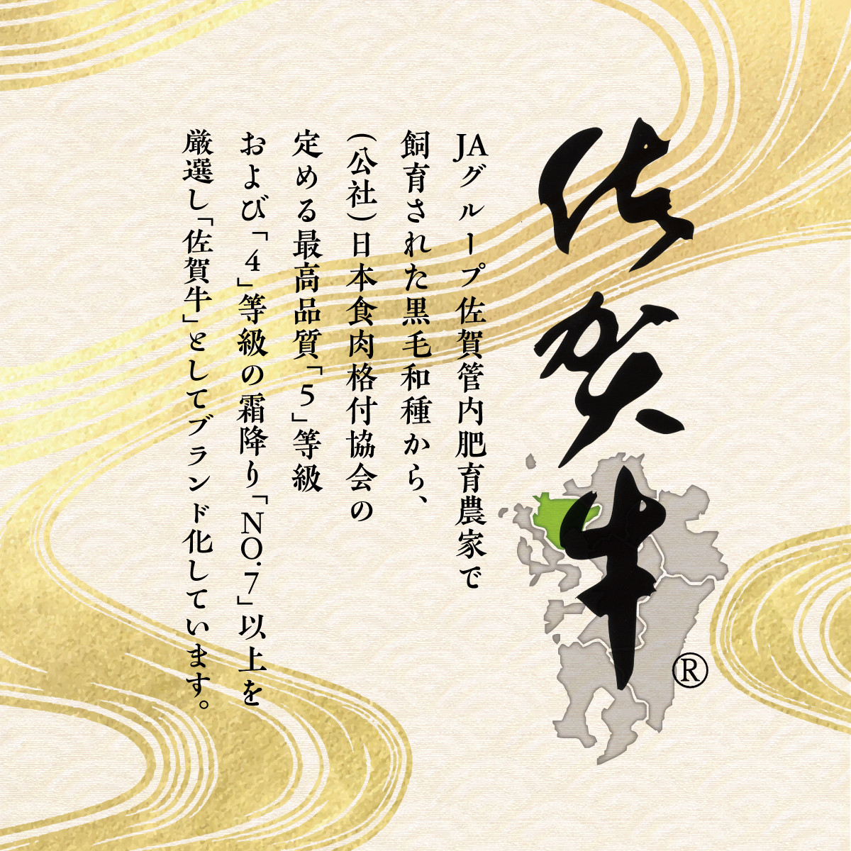 佐賀牛シャトーブリアン＆フィレ（約2.4kg）