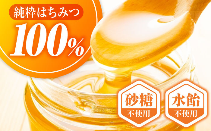 はちみつ 蜂蜜 ハチミツ 国産 生はちみつ 純粋はちみつ ハニー 贈答 ギフト