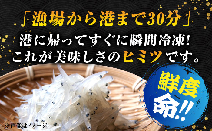 しらす 冷凍 シラス 小分け パック 釜揚げ 冷凍 魚介類 鮮魚 海鮮 海産物