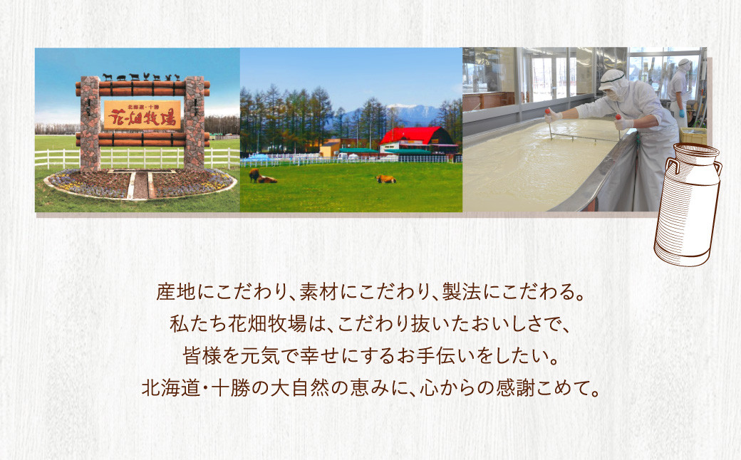 ひとくちモッツァレラ スモーク 4個入り×20本